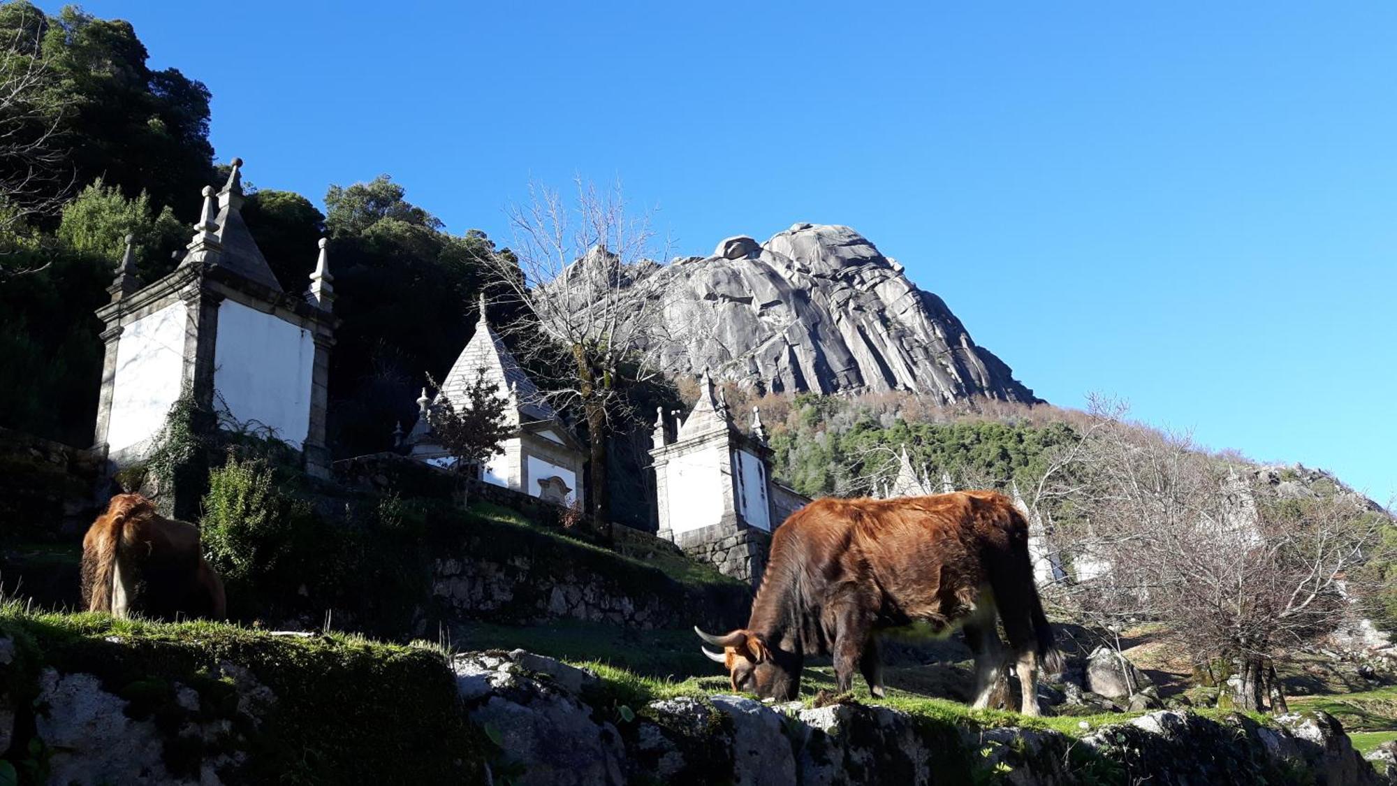 Penedino Mountain Cottage Arcos de Valdevez Extérieur photo