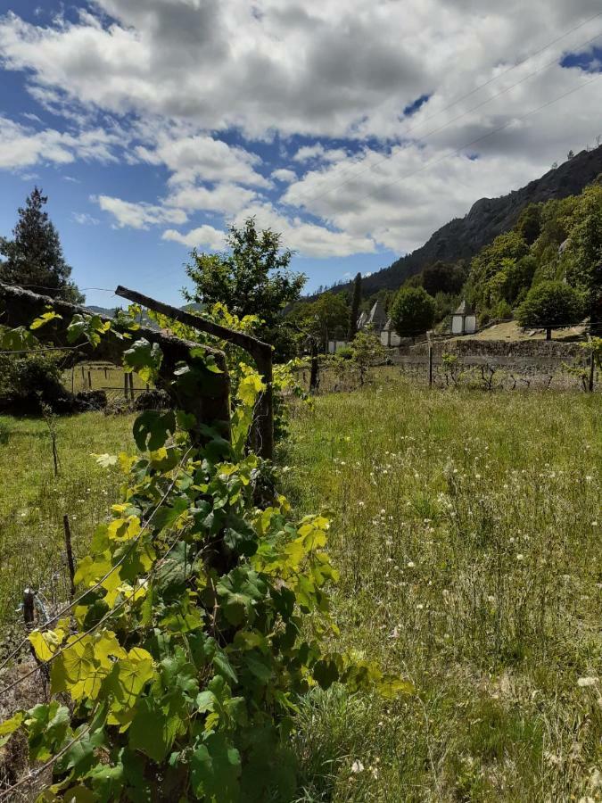 Penedino Mountain Cottage Arcos de Valdevez Extérieur photo